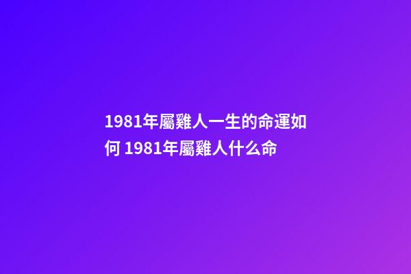1981年屬雞人一生的命運如何 1981年屬雞人什么命